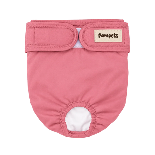 Pañal lavable para perra