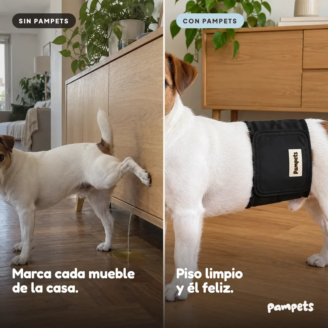 Pañal lavable para perro macho